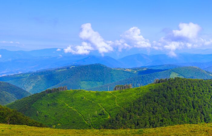 Тур в Карпати на 5 днів