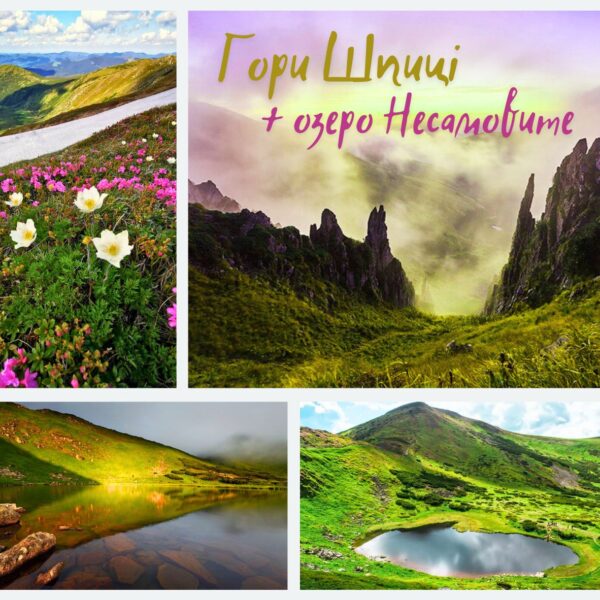 Шпиці