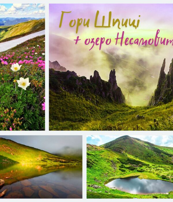 Шпиці