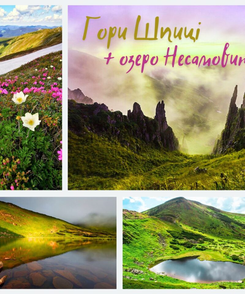 Шпиці