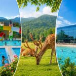Закарпаття зі Львова